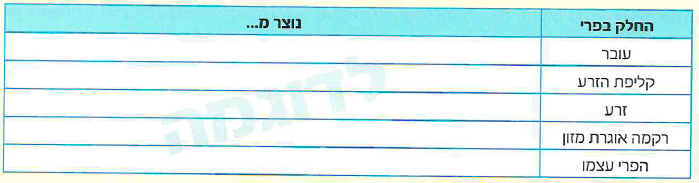 (בספר 4 תמונות)